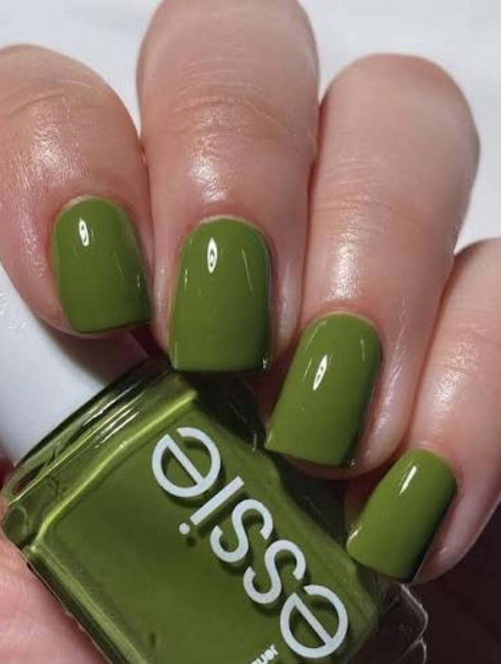 NWT ESSIE COLOR: PATCH IT UP!